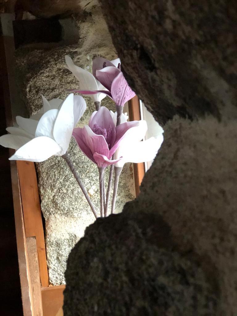 Willa El Balconcillo Del Alberche Navaluenga Zewnętrze zdjęcie